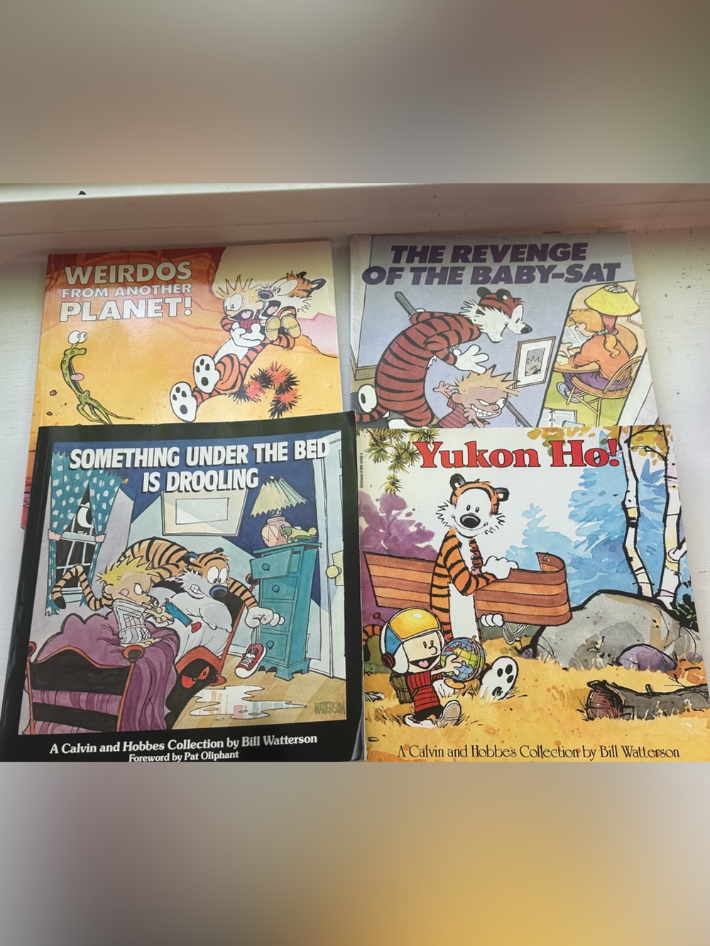 Calvin and Hobbes Collection Book Set - Multicolor
